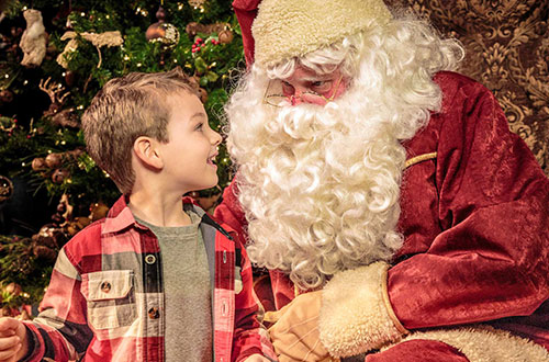 Get Unlimited Visits to WinterFest with a Gold or Platinum Pass!